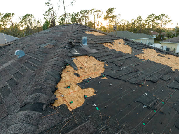 Best Slate Roofing  in Mount Pleasant, TX